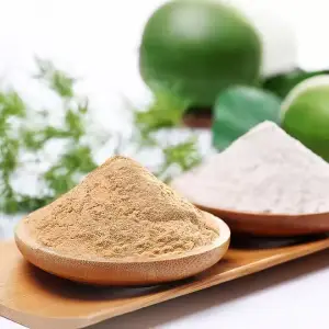 Monk Fruit Extract Powder