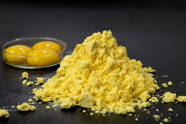 Egg Yolk Powder